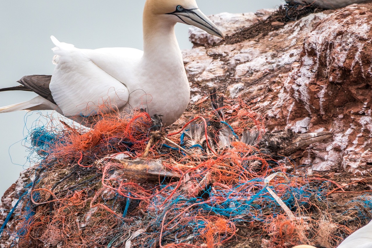 Turning Trash Into Treasure - A Reality Check